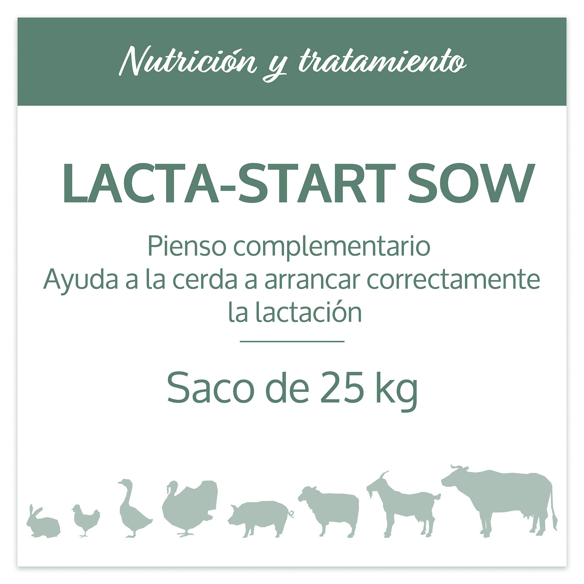 Pienso para Cerda Lactante - Lacta-Start Sow