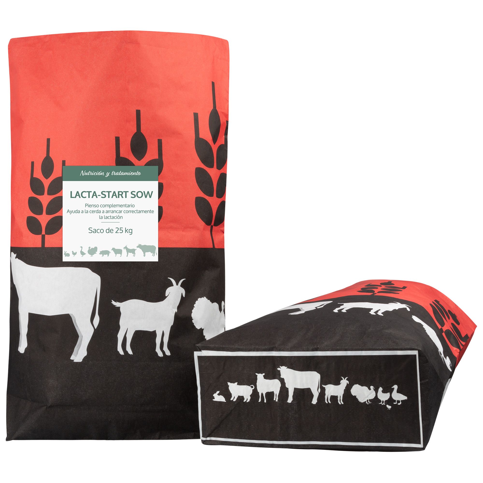 Pienso para Cerda Lactante - Lacta-Start Sow - Imagen 2
