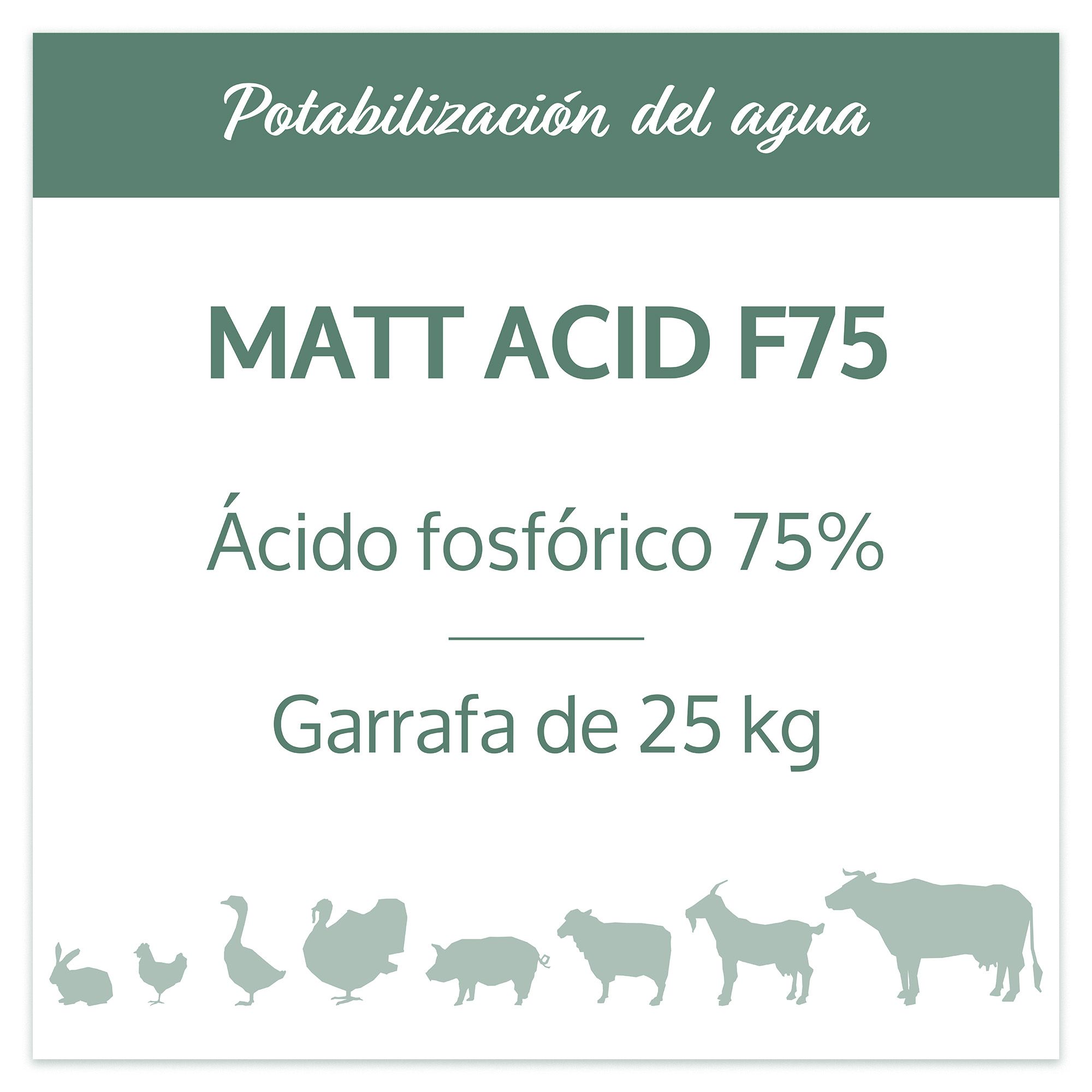 Matt Acid F75 - Ácido fosfórico 75% - Imagen 2